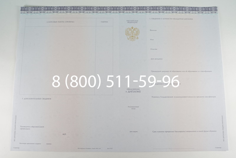 Диплом бакалавра (Киржач) 2014-2024 года в Волжском