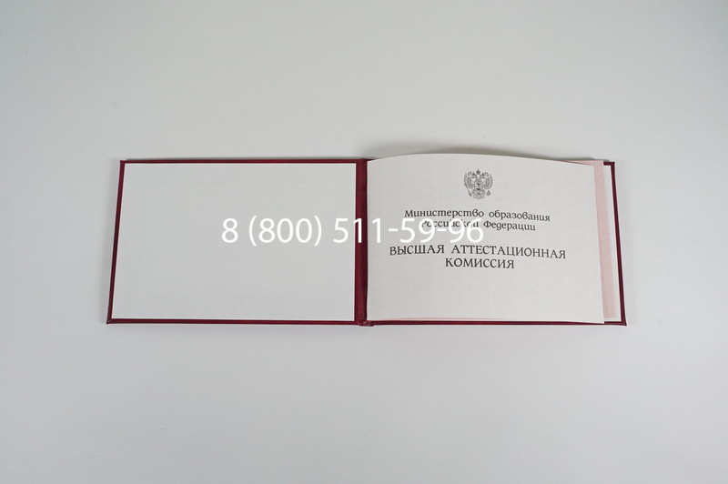 Диплом доктора наук 1995-2006 года в Волжском Диплом доктора наук 1995-2006 года в Волжском