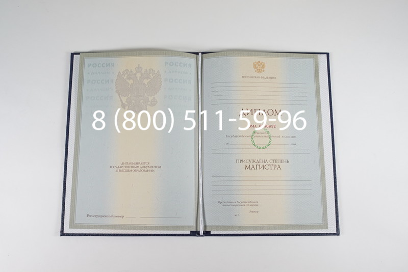 Диплом магистра 2003-2009 годов в Волжском