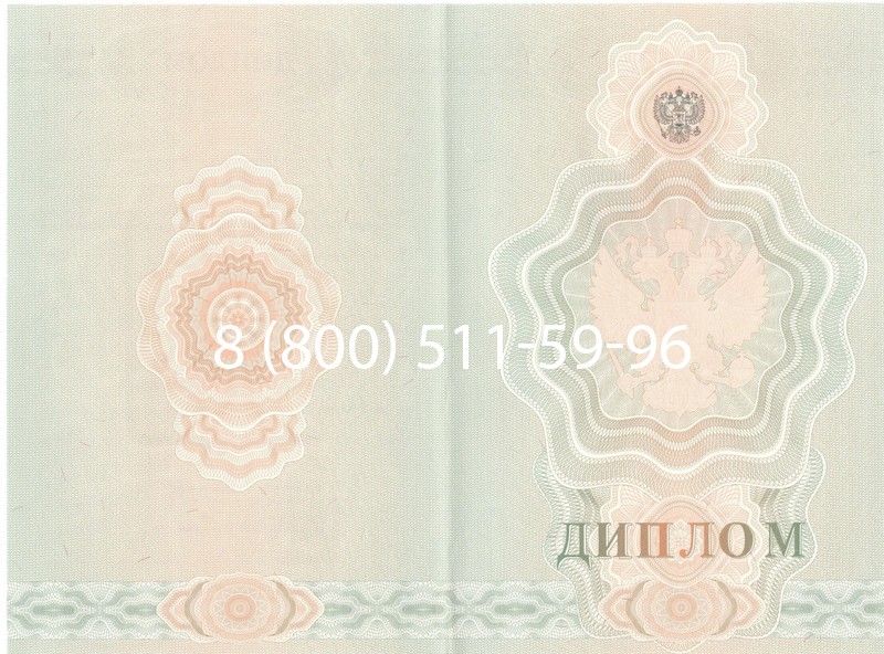 Купить Диплом училища 2007-2009 годов в Волжском